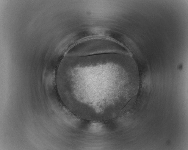 X0000112420376200908211151