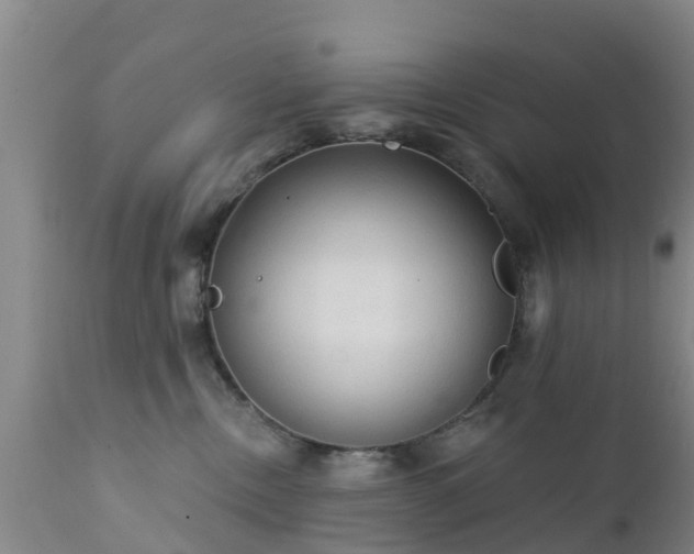 X0000112420378200908211151