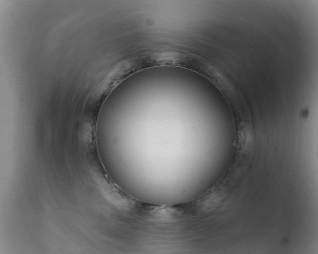 X0000112420379200908211151