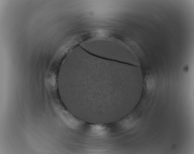 X0000112420380200908211151