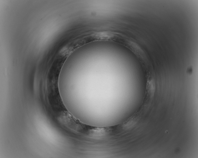 X0000112420381200908211151