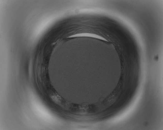 X0000112420382200908211151