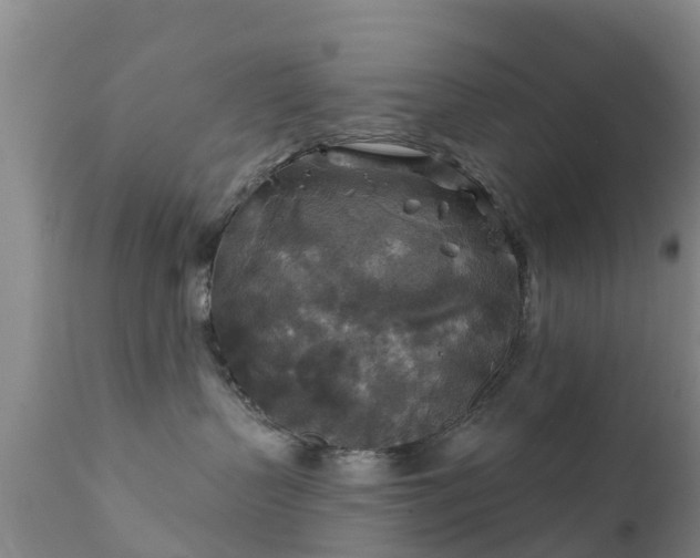 X0000112420383200908211151