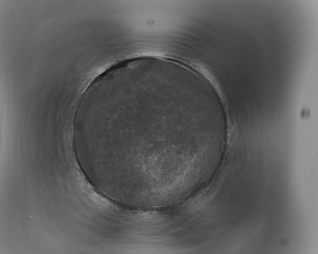 X0000112420385200908211151