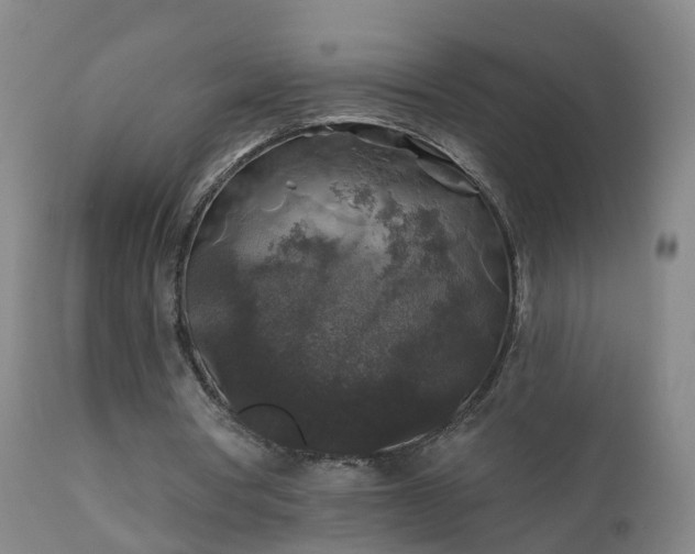 X0000112420386200908211151