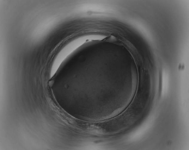 X0000112420387200908211151