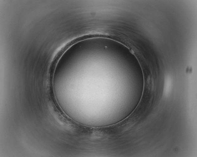 X0000112420388200908211151