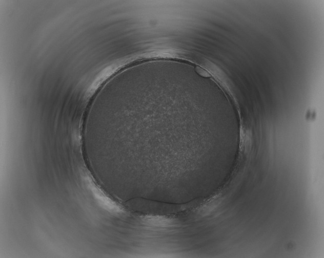 X0000112420389200908211151