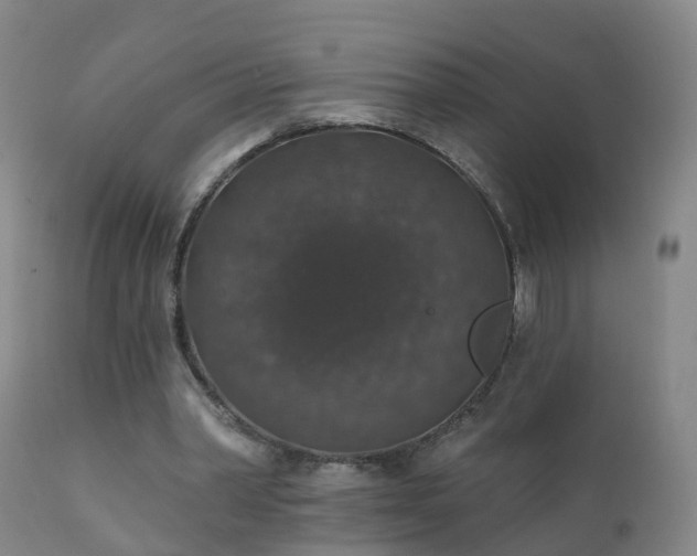 X0000112420390200908211150