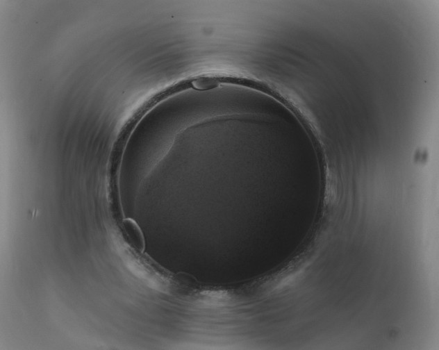 X0000112420391200908211150