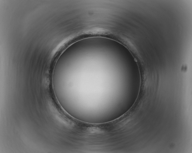 X0000112420392200908211150