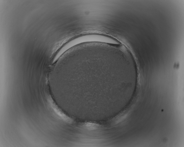 X0000112420393200908211150