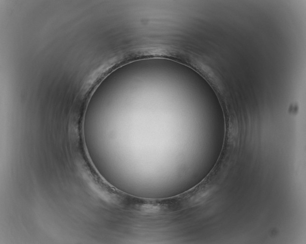 X0000112420394200908211150