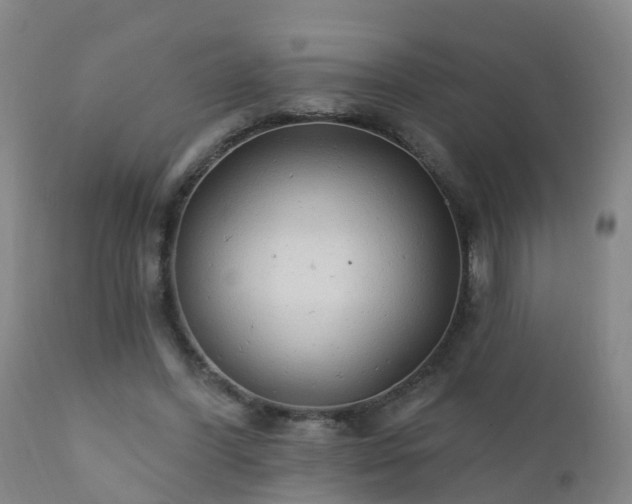 X0000112420396200908211150