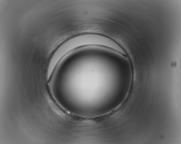 X0000112420397200908211150