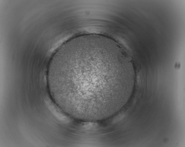 X0000112420398200908211150