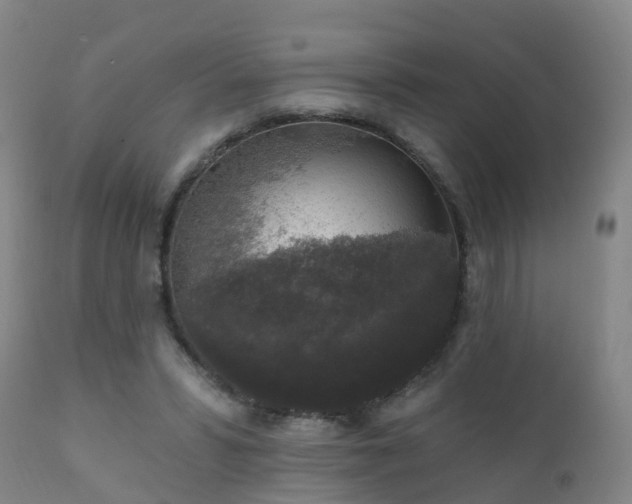 X0000112420399200908211150