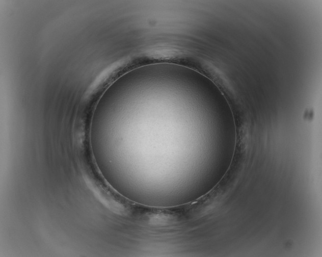 X0000112420400200908211150