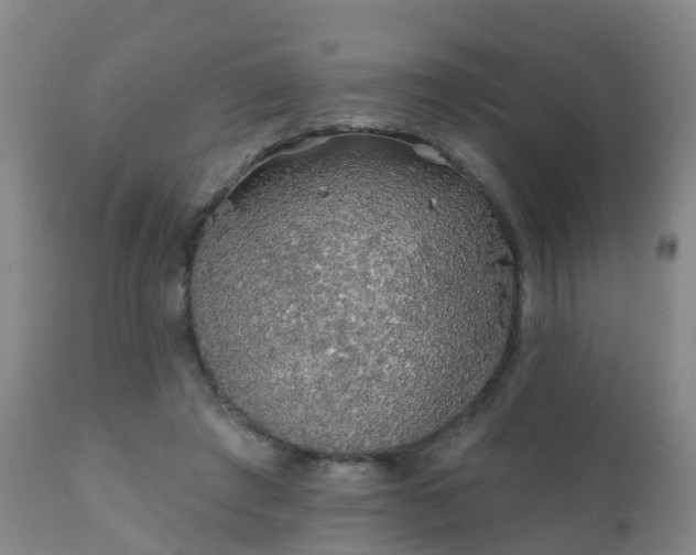 X0000112420401200908211150