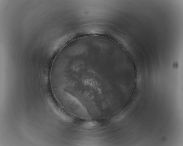 X0000112420402200908211150