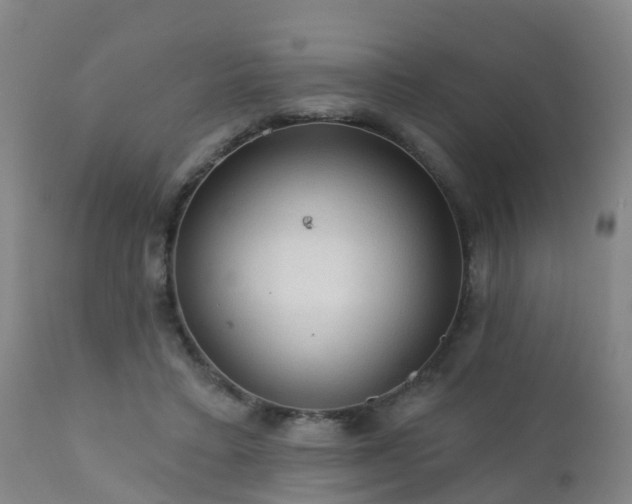 X0000112420403200908211150