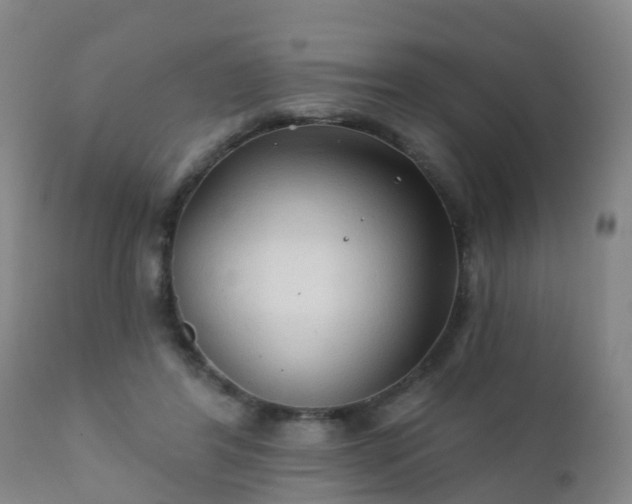 X0000112420404200908211150