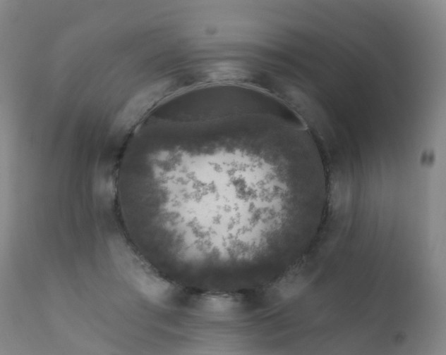 X0000112420405200908211150