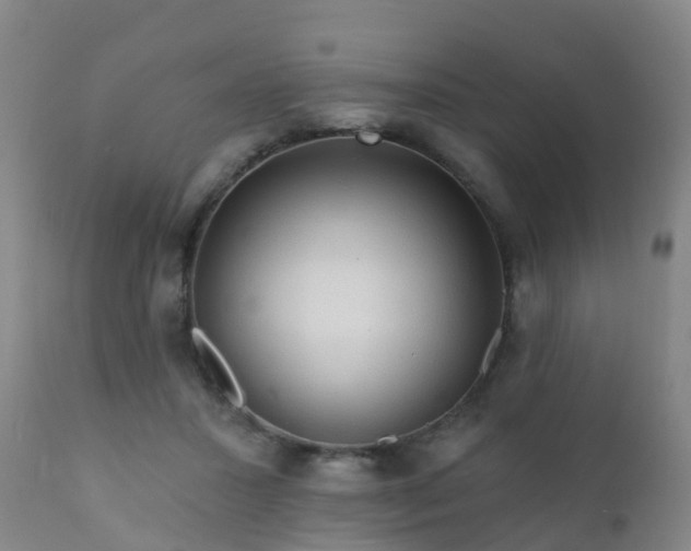 X0000112420407200908211150