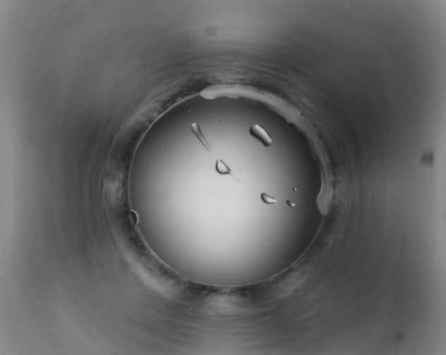 X0000112420408200908211150