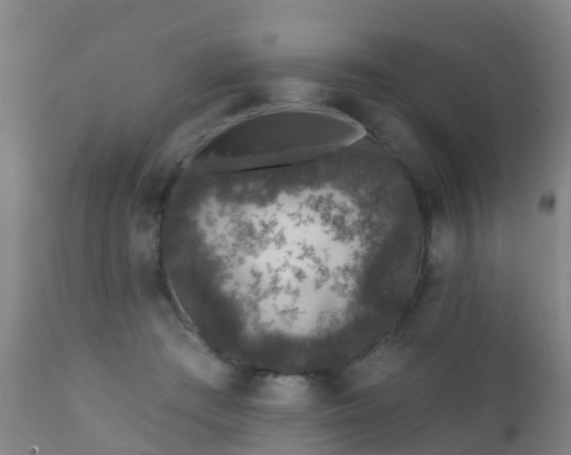 X0000112420409200908211150