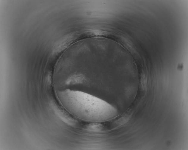 X0000112420410200908211150