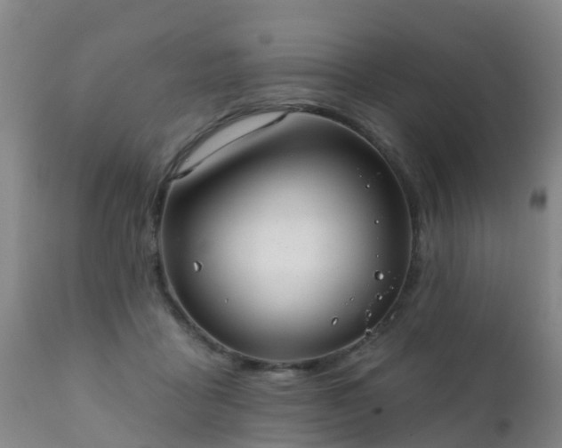 X0000112420411200908211150