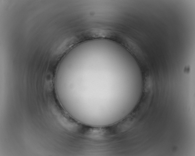 X0000112420414200908211150