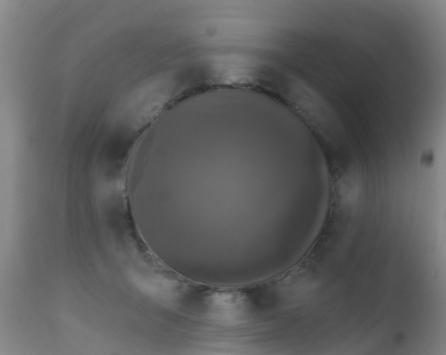 X0000112420415200908211150