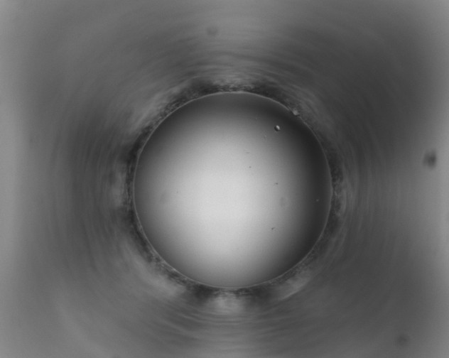 X0000112420416200908211150