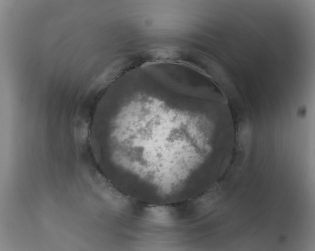 X0000112420417200908211150