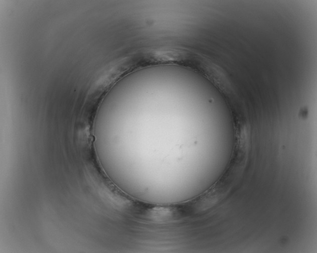 X0000112420418200908211150