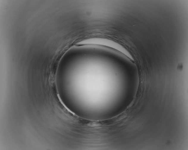 X0000112420419200908211150