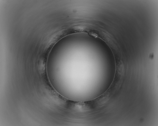 X0000112420420200908211150