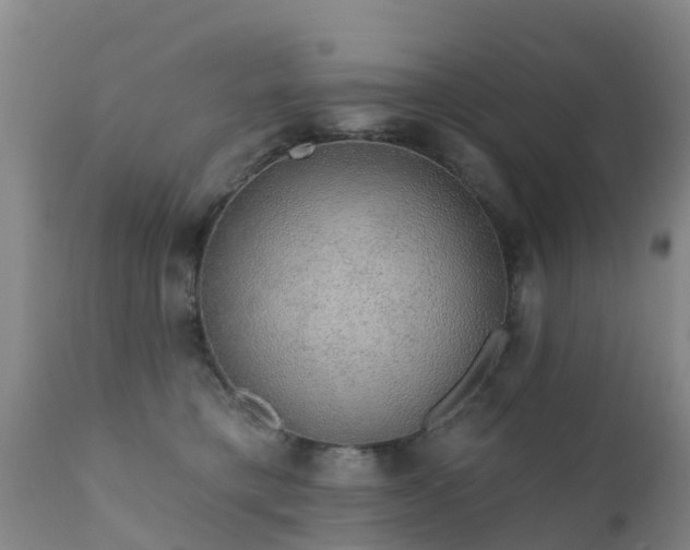 X0000112420421200908211150