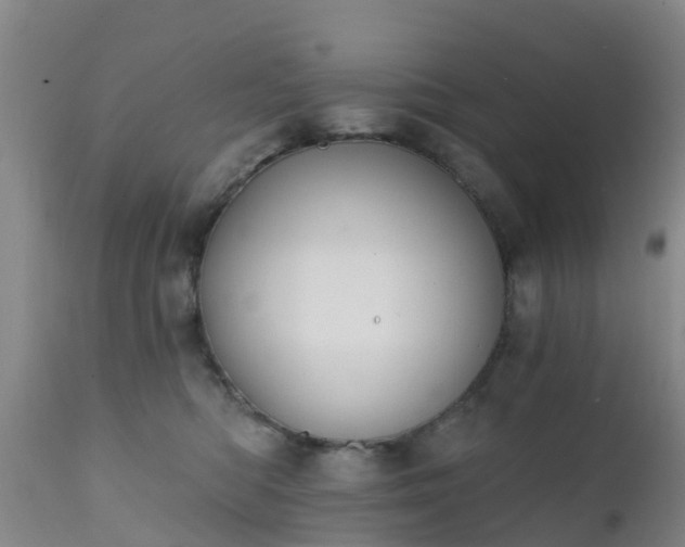 X0000112420422200908211150