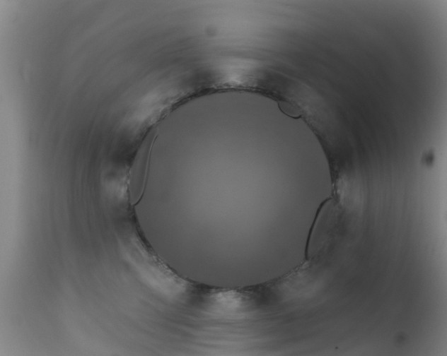 X0000112420423200908211150