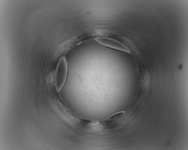 X0000112420425200908211150