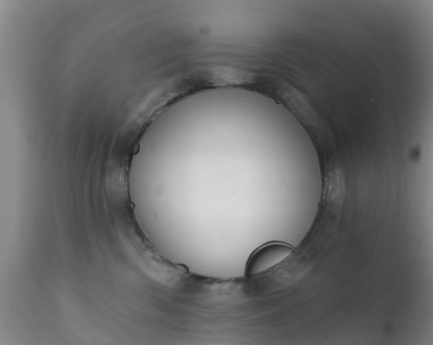 X0000112420426200908211150