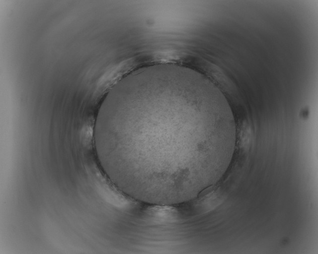 X0000112420427200908211150