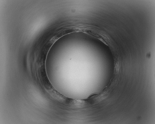 X0000112420429200908211150