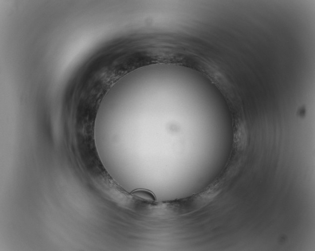 X0000112420430200908211150