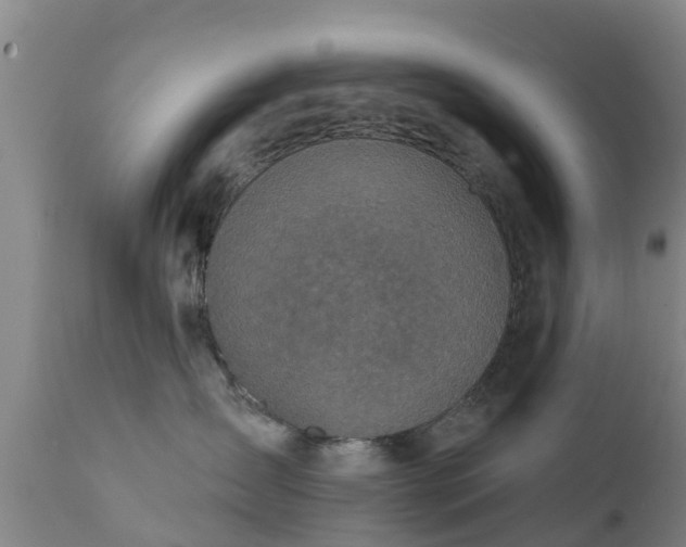 X0000112420431200908211150