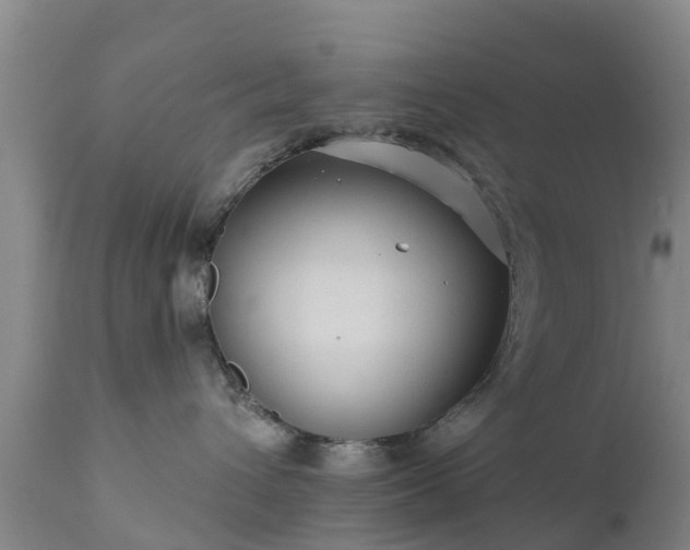 X0000112420432200908211150