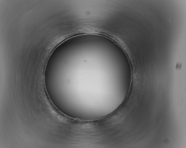 X0000112420433200908211149